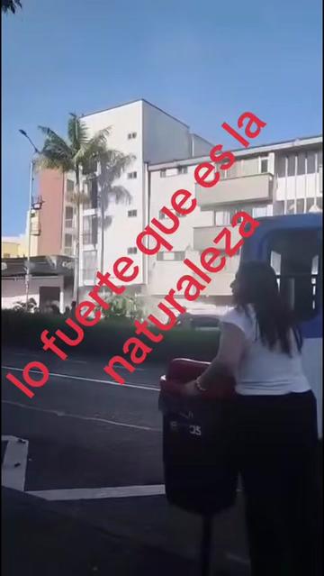 @moisés