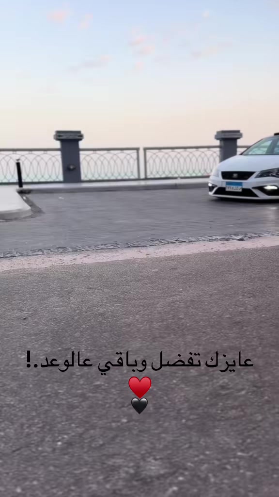 @Nourin Khalil