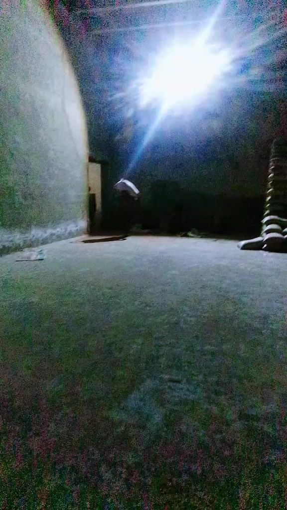 @shabazamir825