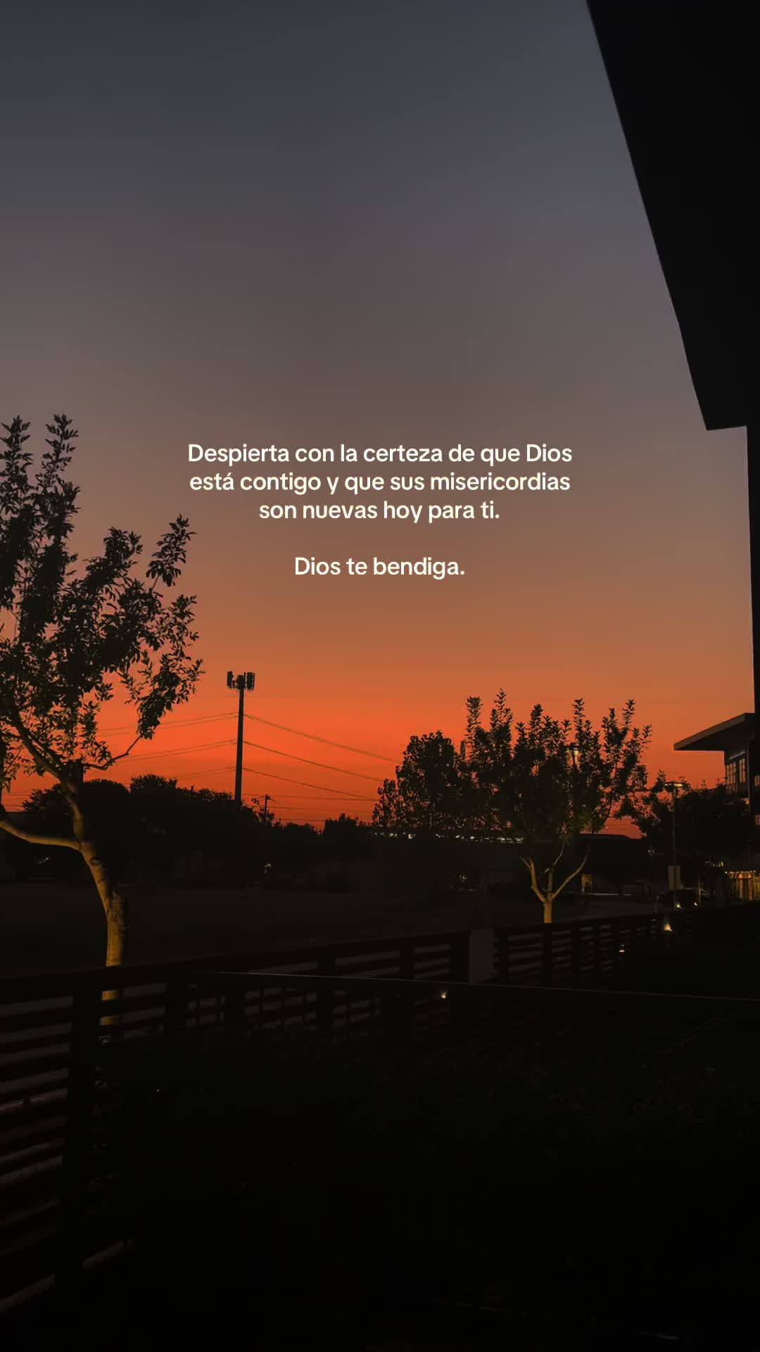 @thaniaSayegh💫frases