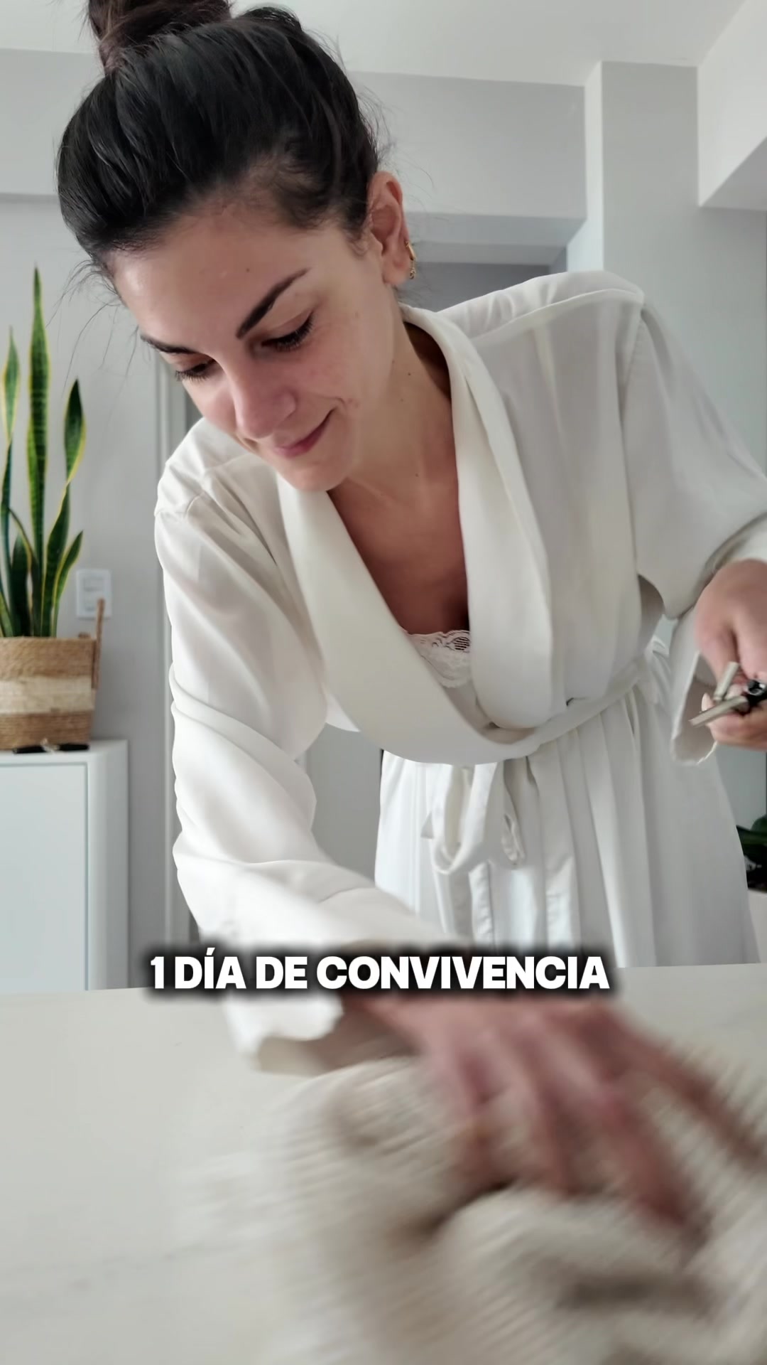 @Emily Lucius