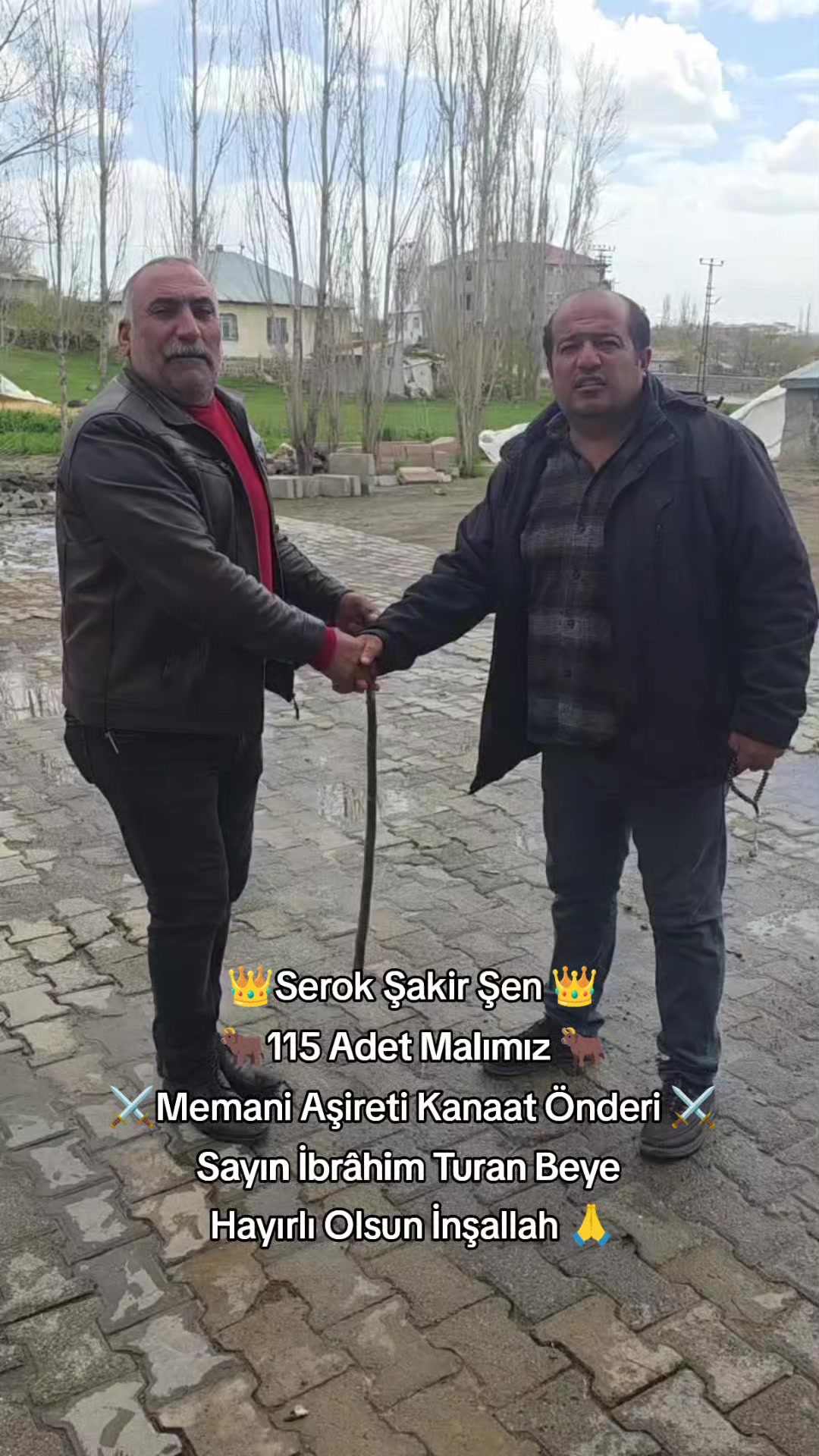 @👑Cambaz Memo Şen👑