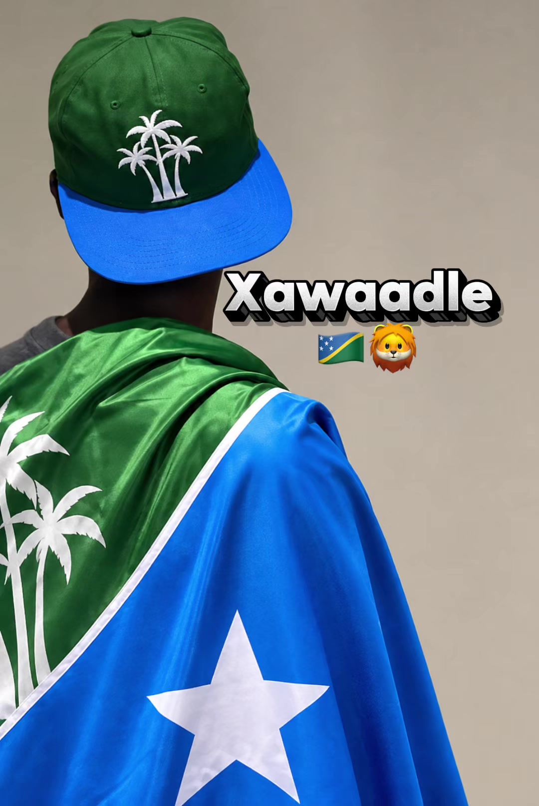 @Shaffi Abdi