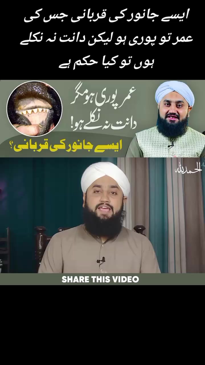 @꧁ᕯ❈Muhammad Saqib Attari❈ᕯ꧂i