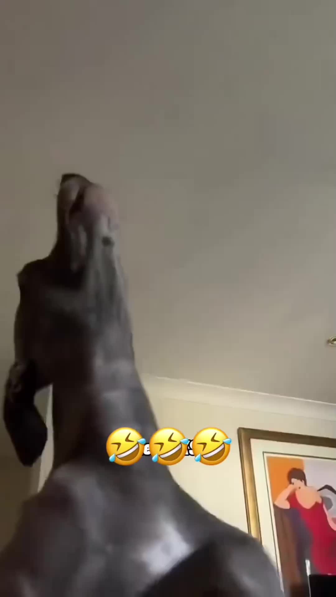 @Linkin.Rod.🛡️