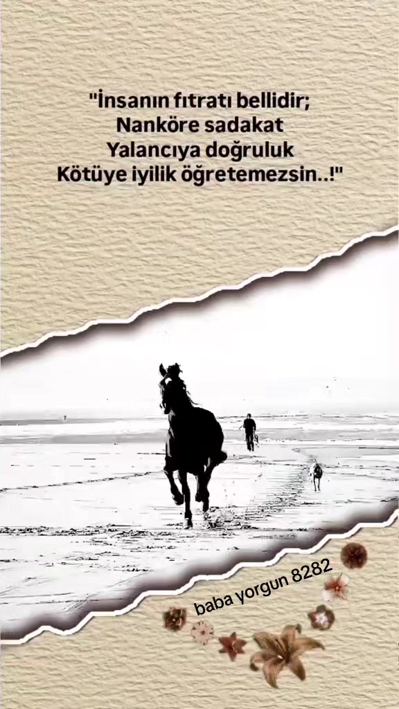 @baba yorgun 8282