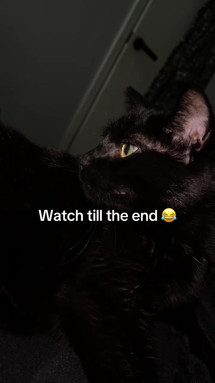 @Jewlz