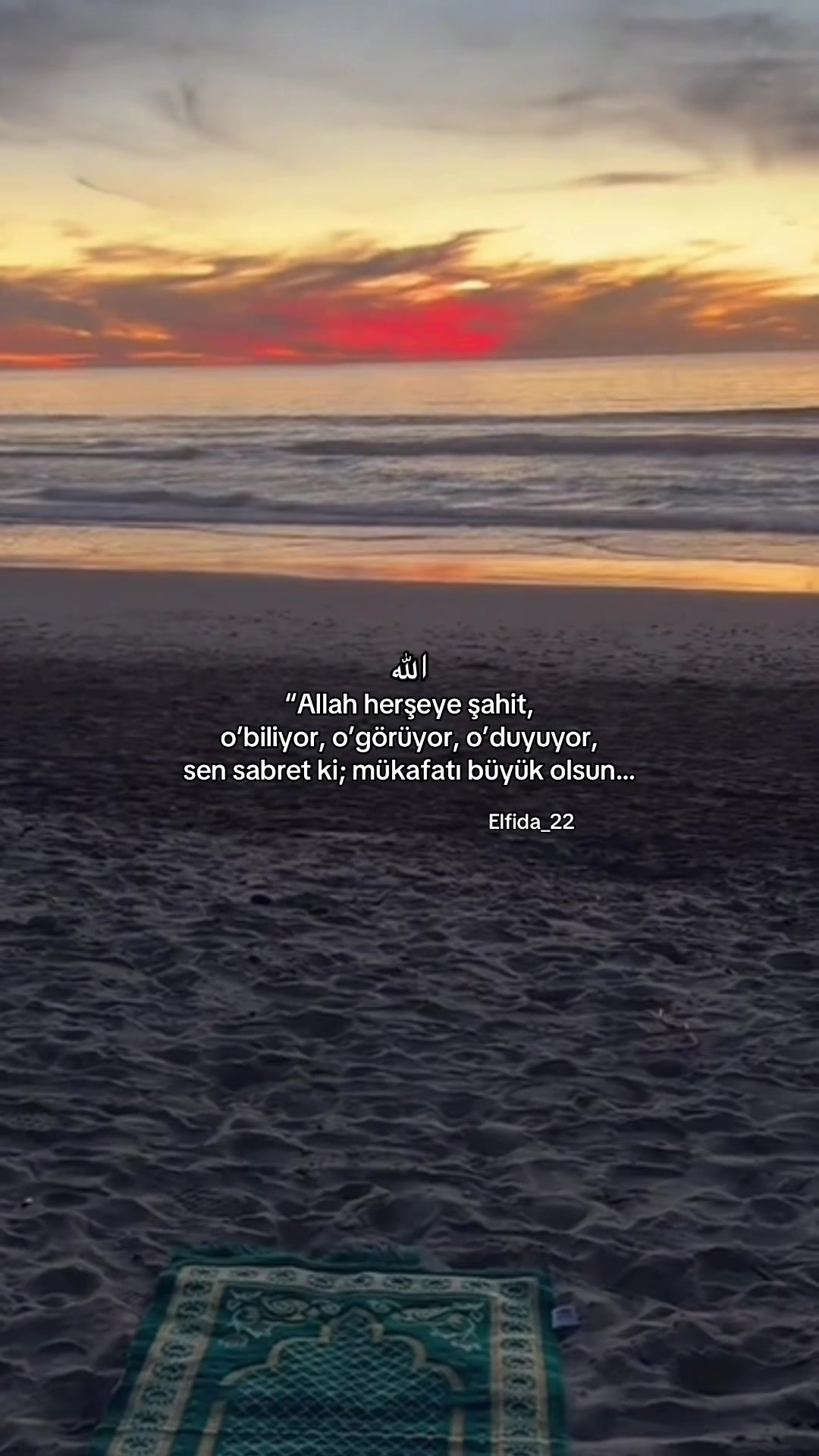 @Elfida_22