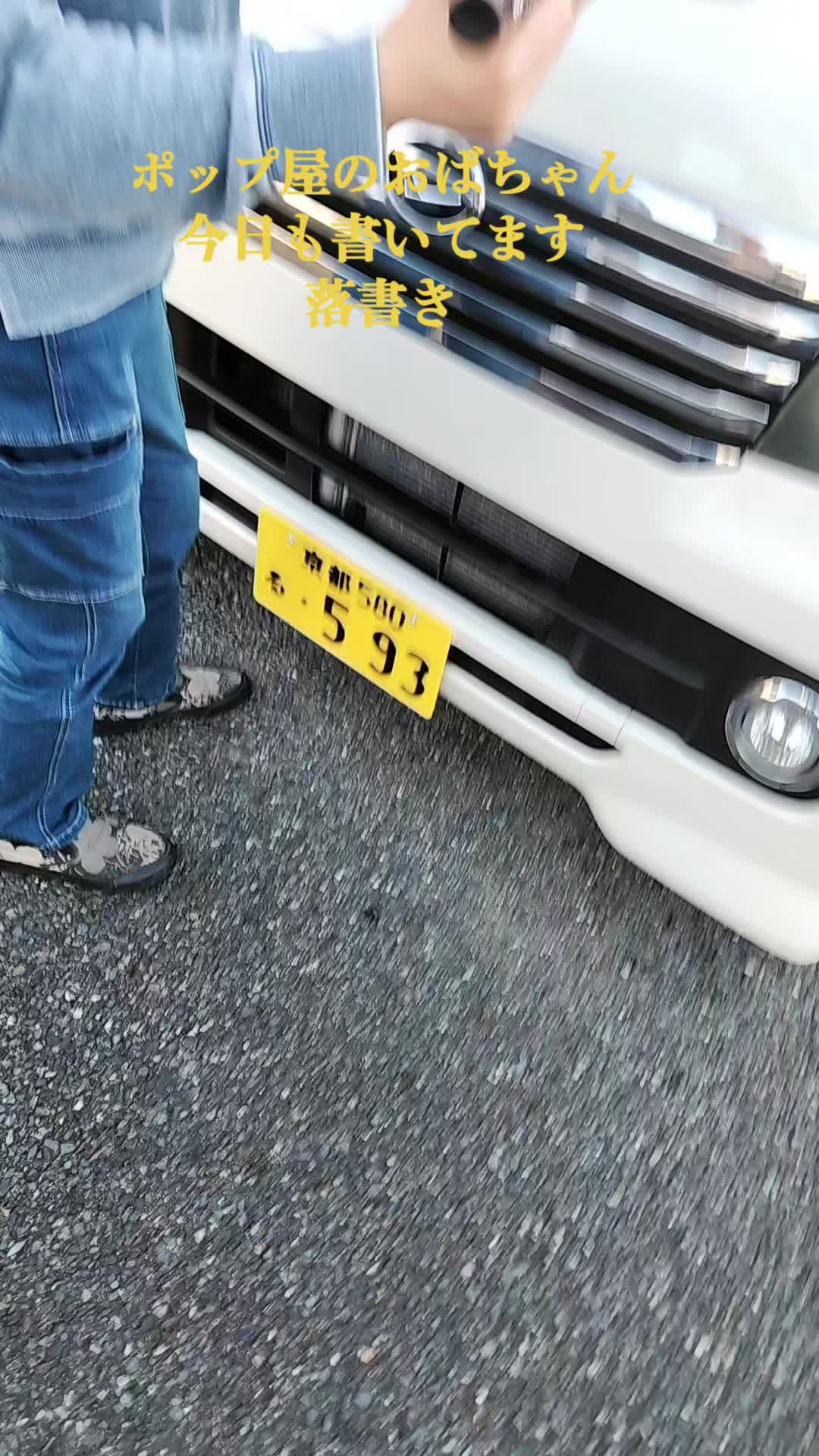 @零🇯🇵🌸零戦一番機🌸🇯🇵