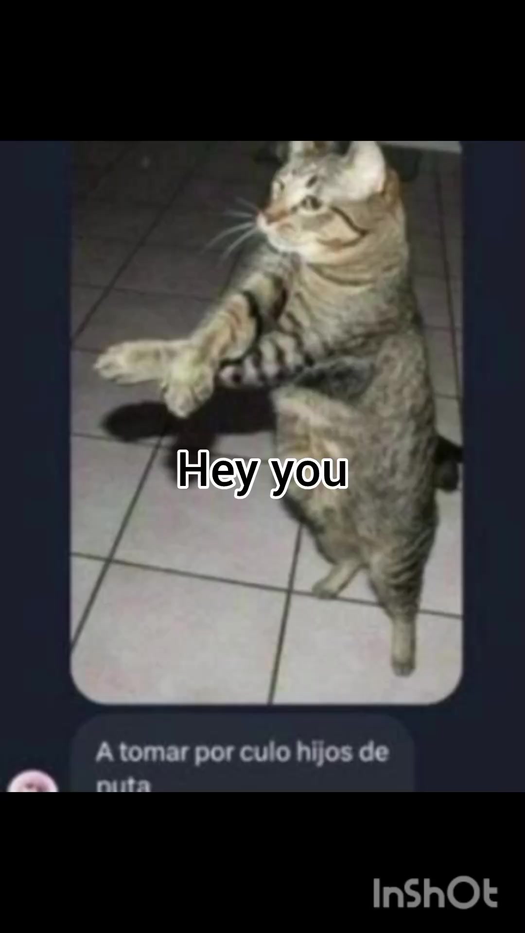 @ace