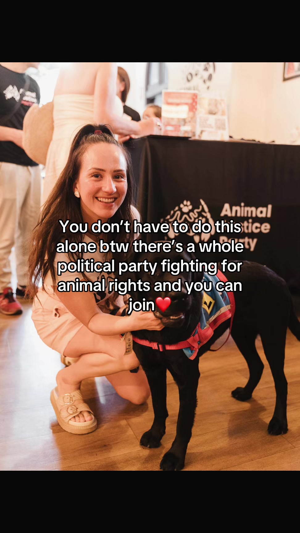 @Animal Justice Party NSW