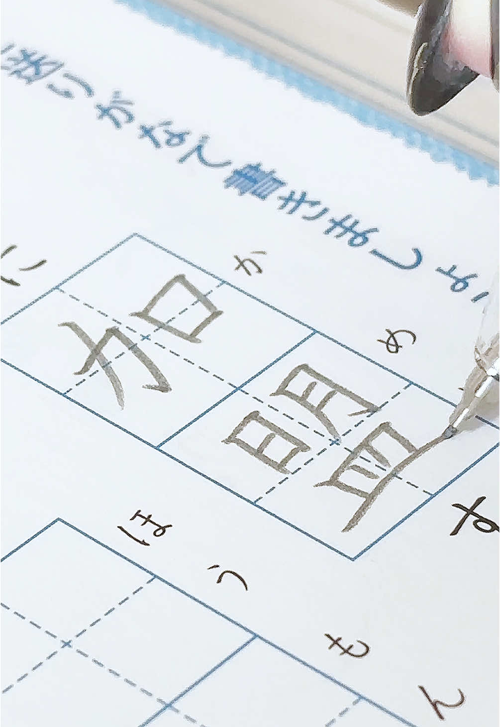@茉 莉