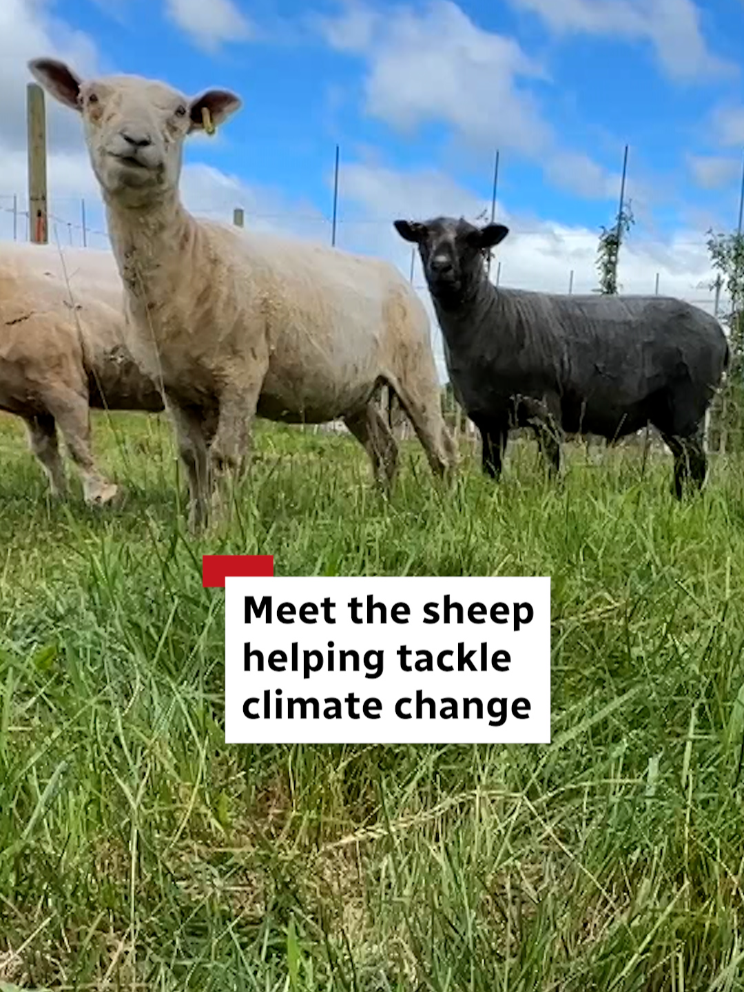 @CBC Nova Scotia