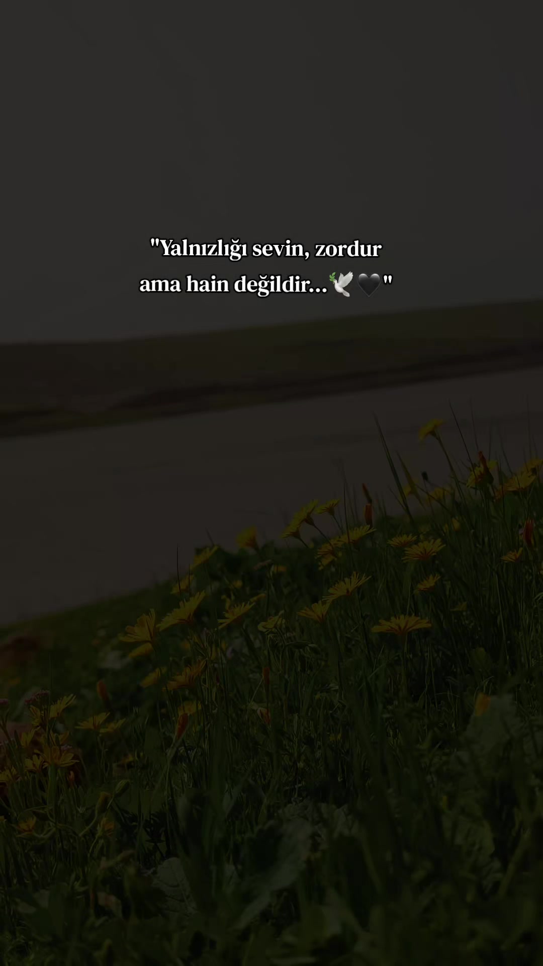 @𝐒 𝐓 𝐄 𝐑 𝐊 ✷