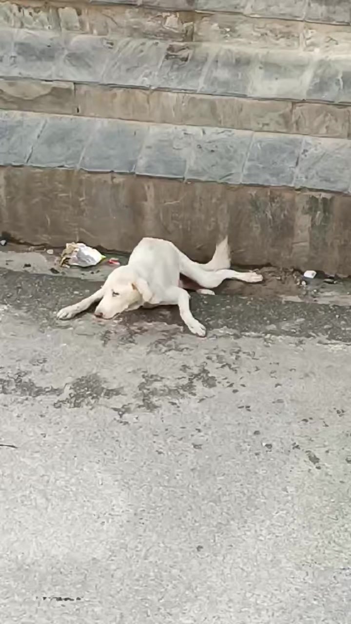 @Srijanathakuri