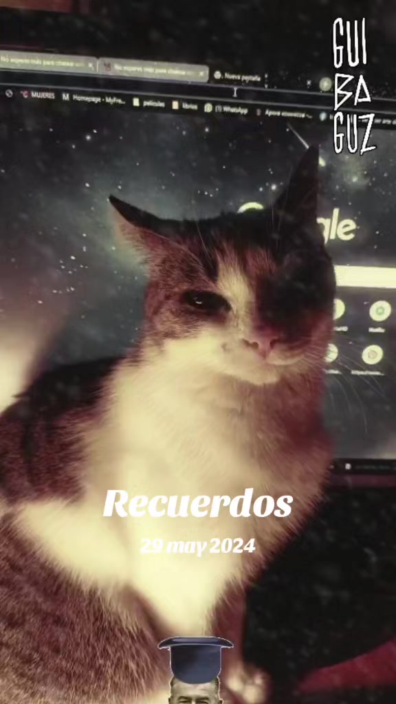 @Guibaguz