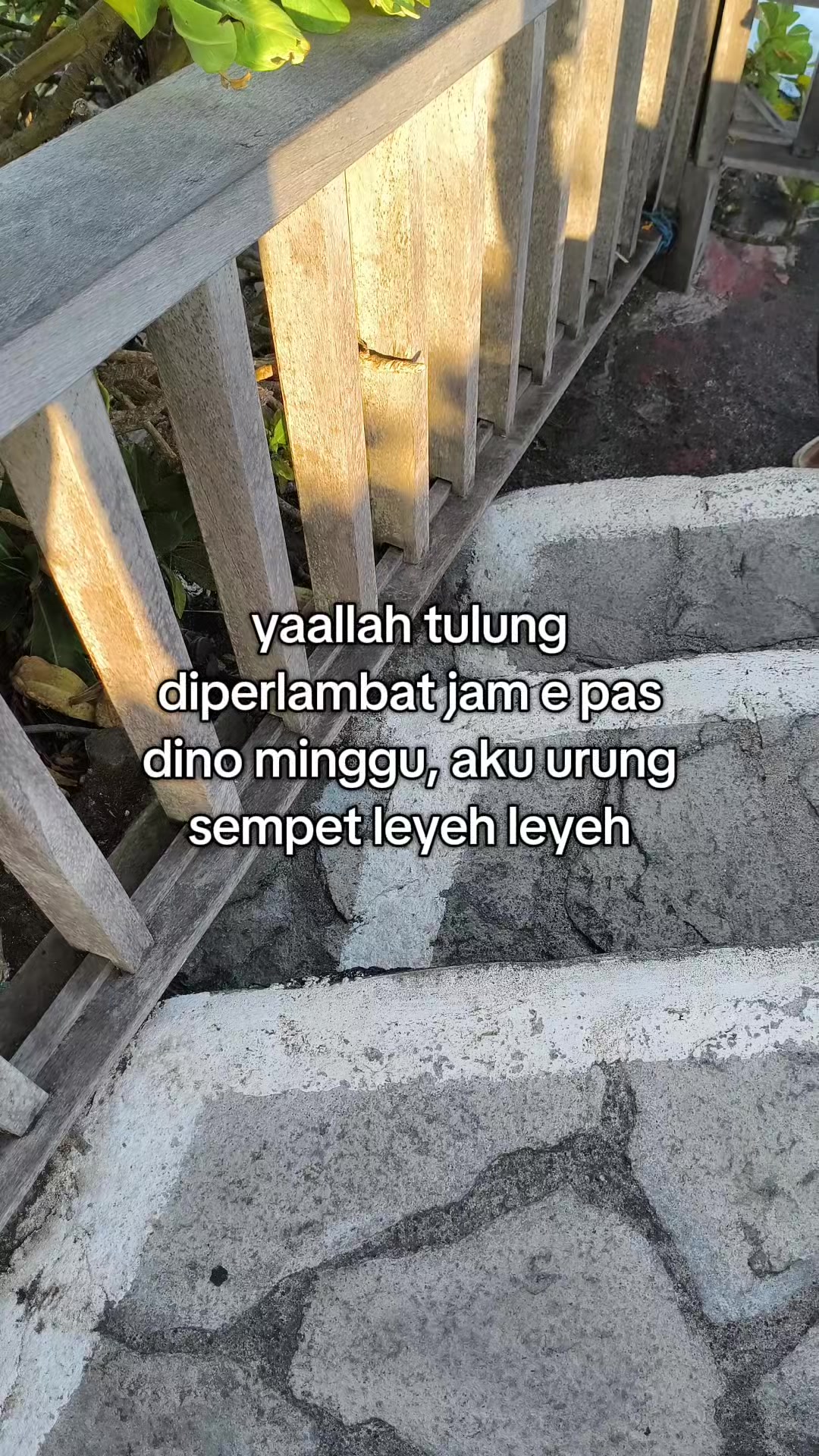 @aliell