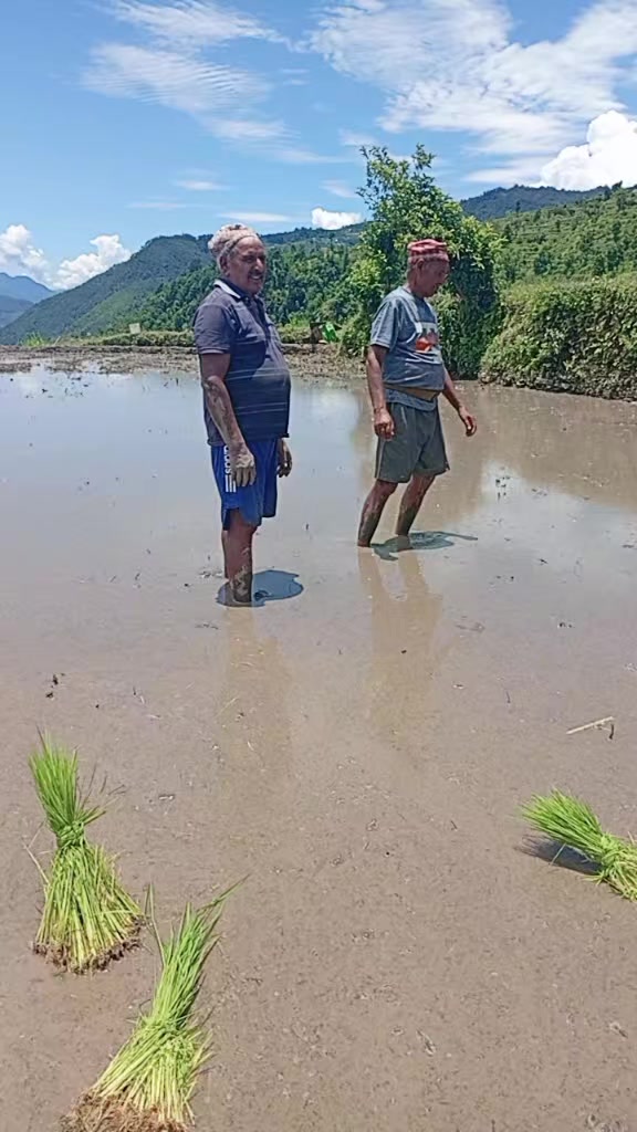 @sõñîshá ádhìkârí