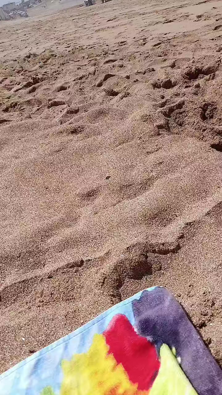 @✨زينب✨