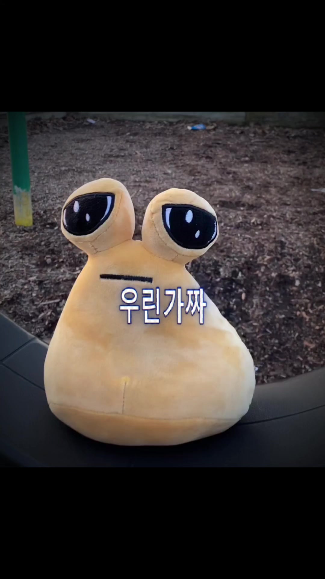 @스키⛷