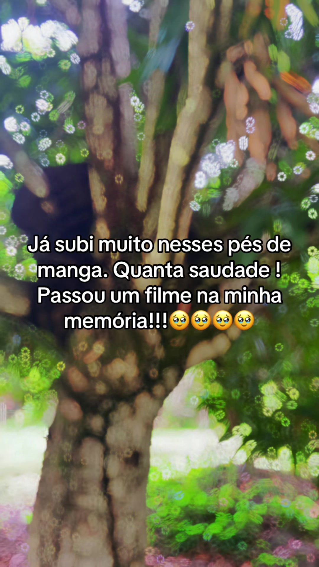 @Daniela Andrade