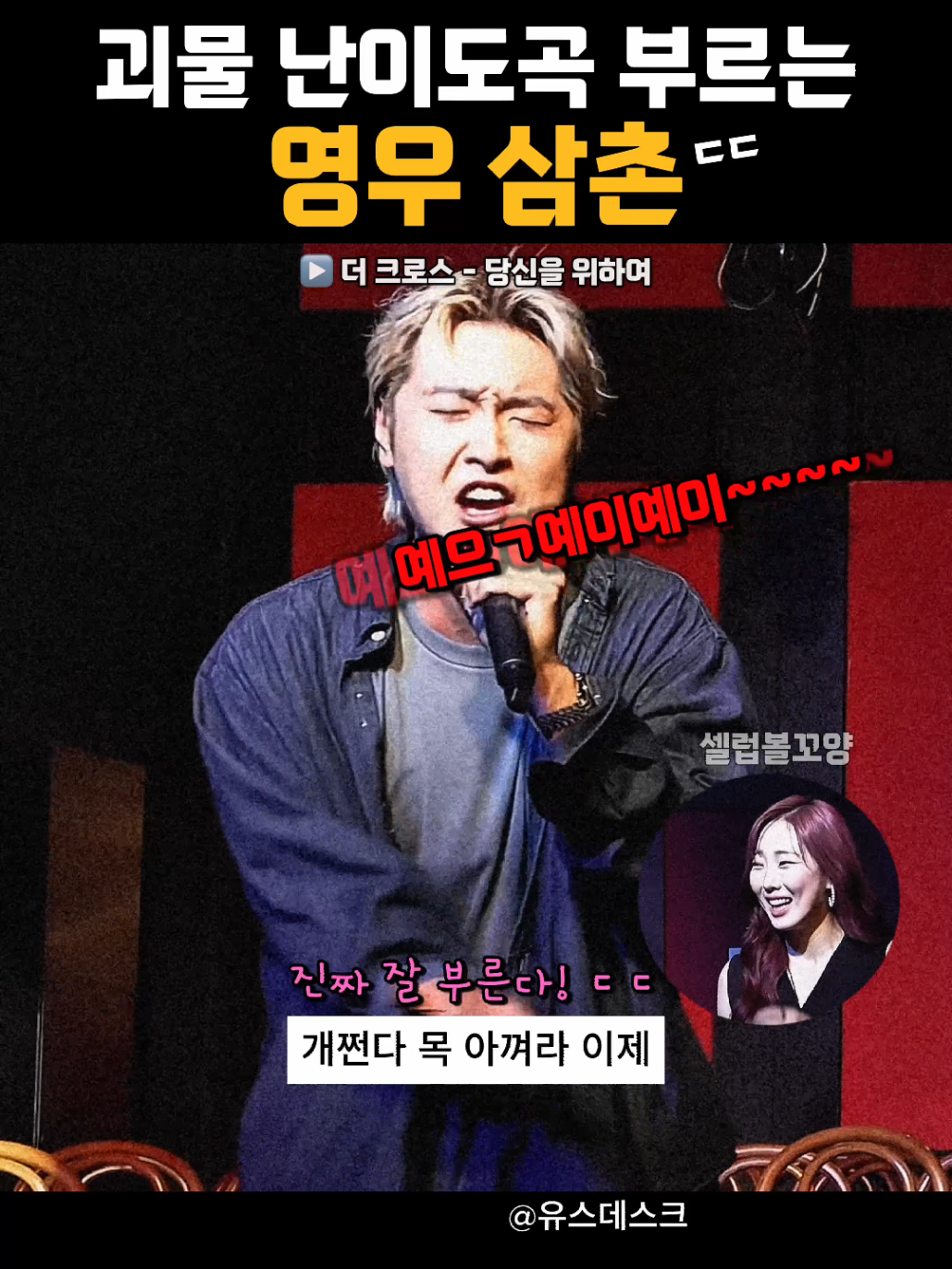 @셀럽볼꼬양