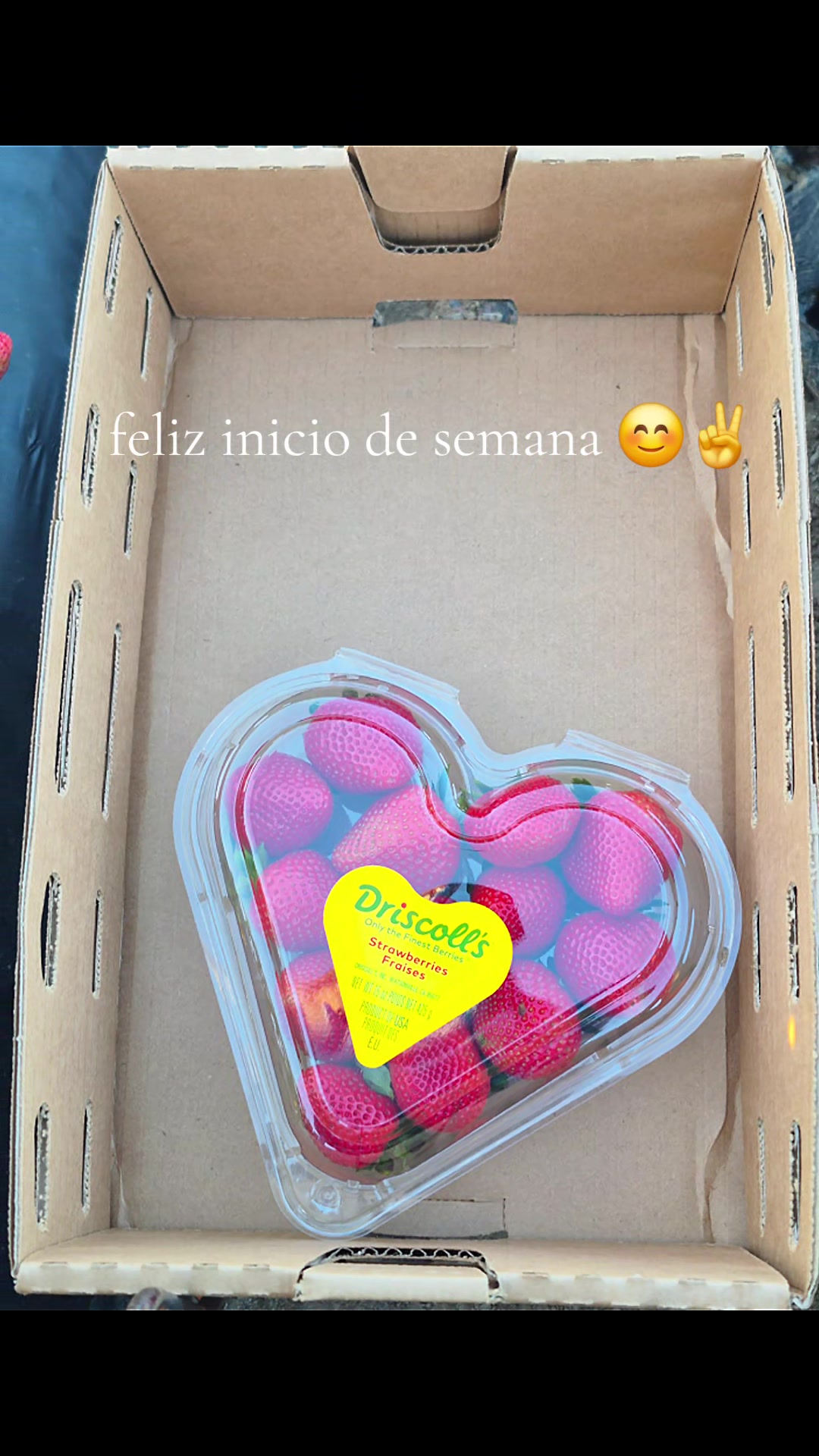 @💙🖤🍀🦋Camarillo Ad🍀💙🖤