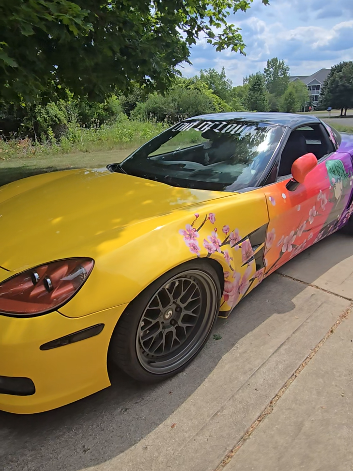 @AnimeVette