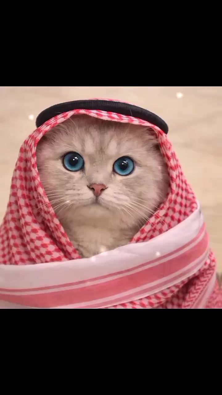@ᯓ𝐄𝐫𝐚 𝐌𝐢𝐮ᥫ᭡