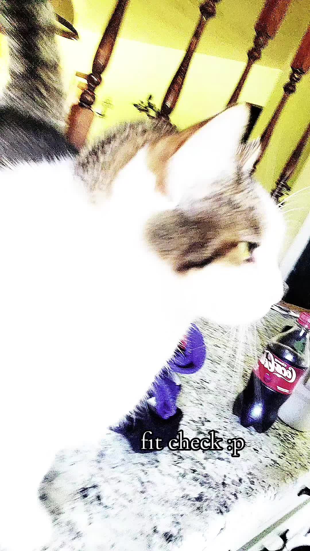 @☆ ptolɛmaɛa ☆