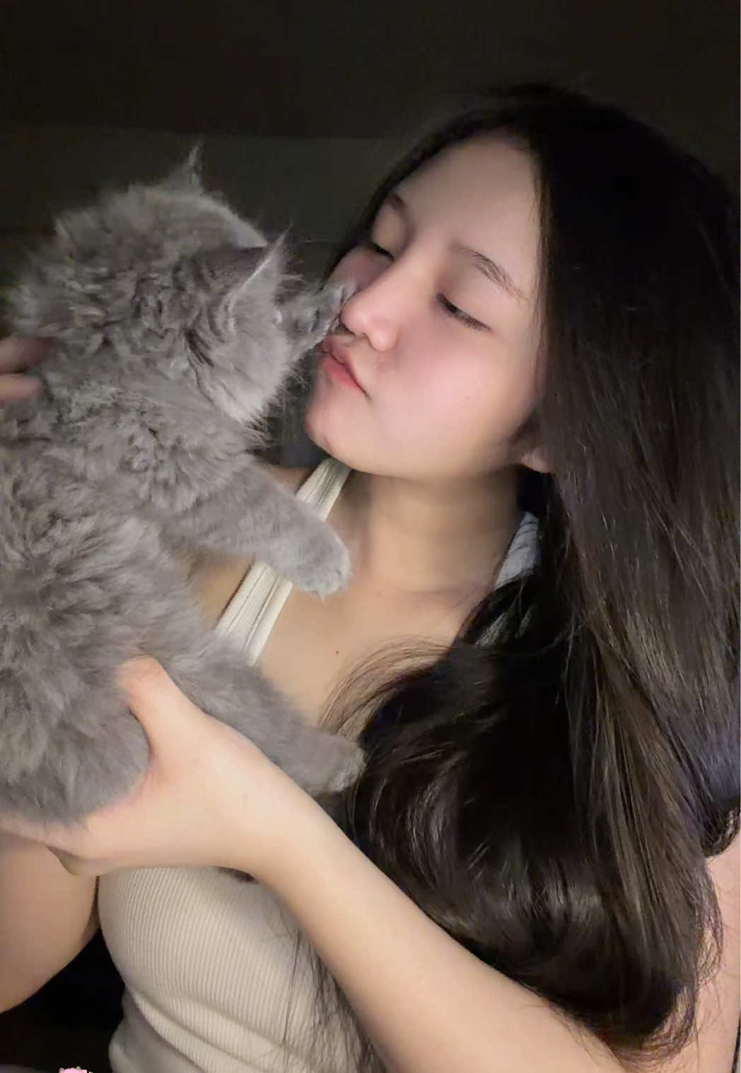 @Yokyokk