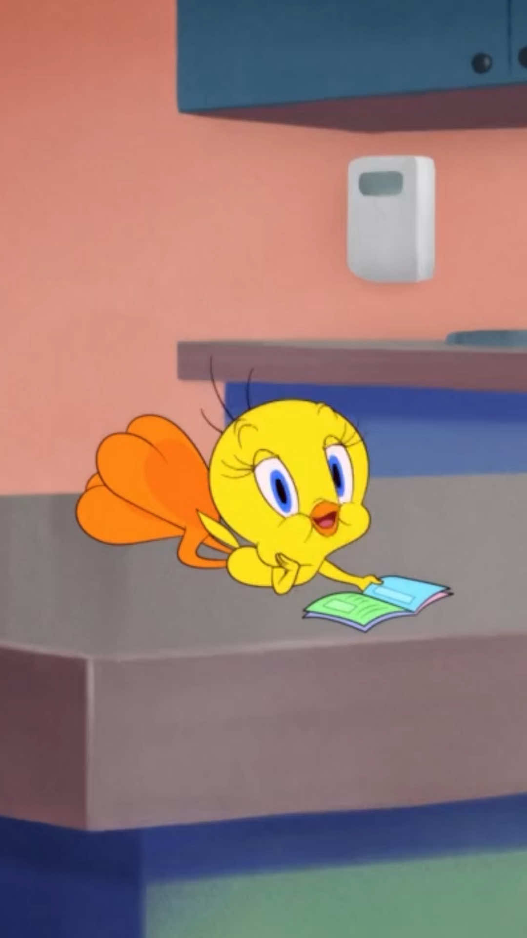 @Looney Tunes