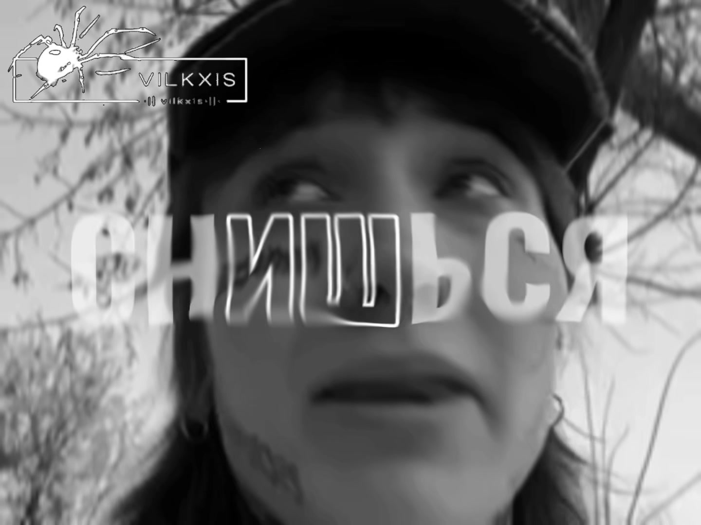 @тгк: VILKXIS