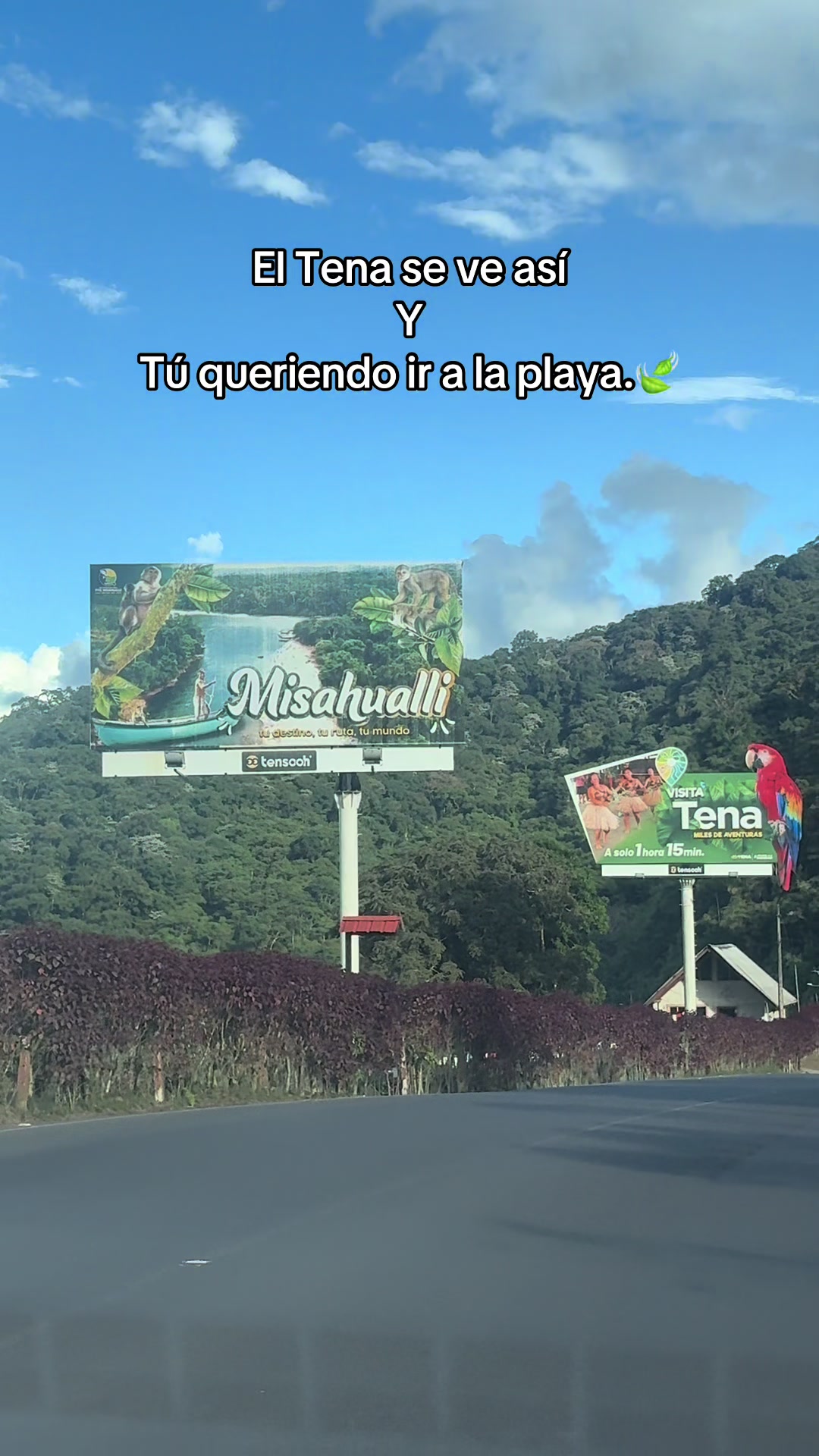@Amazonia Vive💚(Wlady)🇪🇨😎