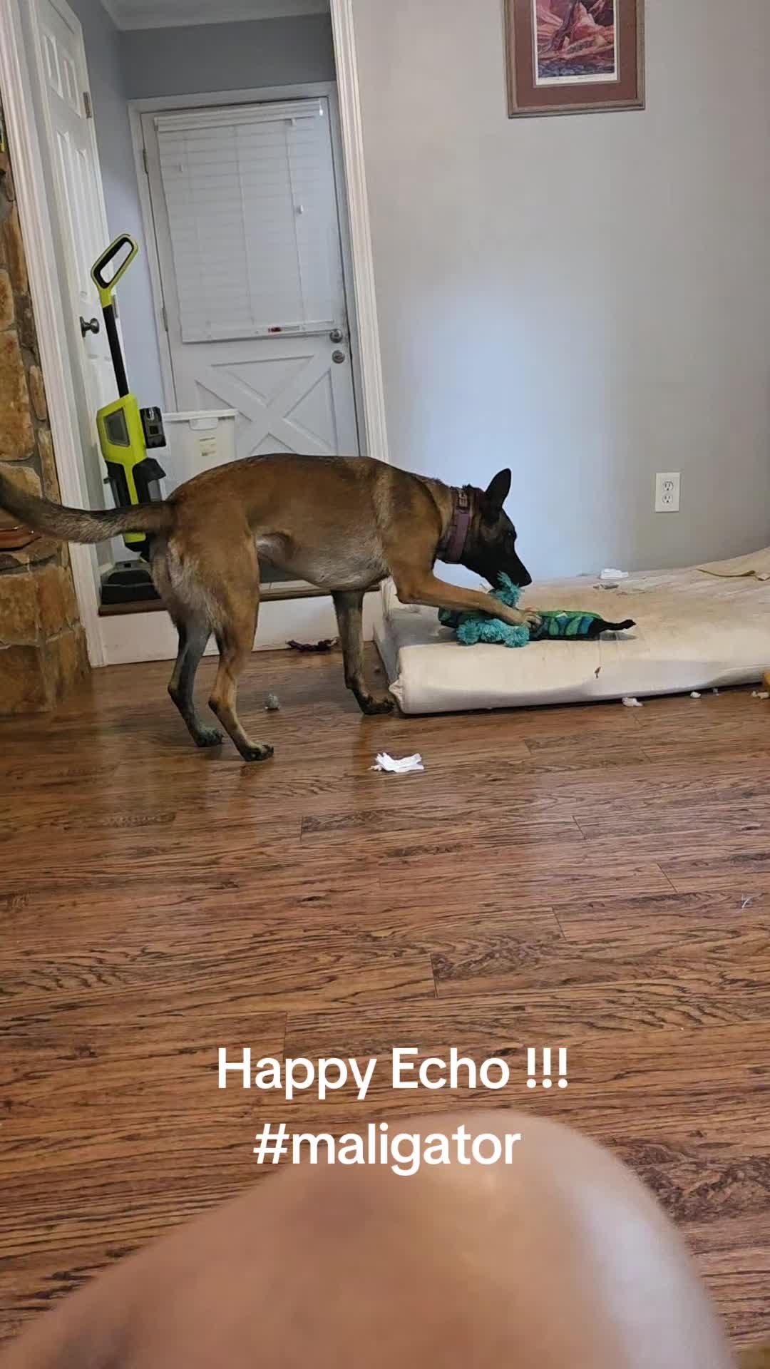 @Echo!