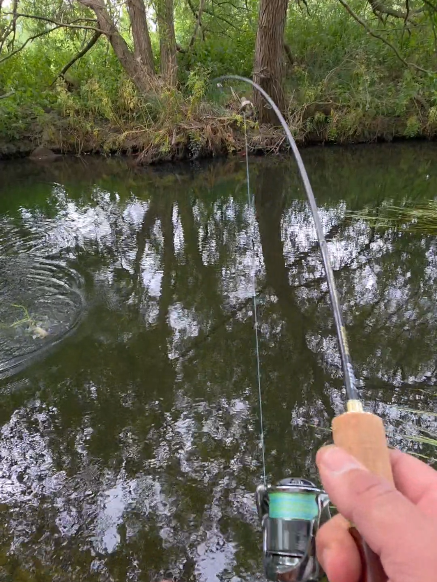 @BF Angler