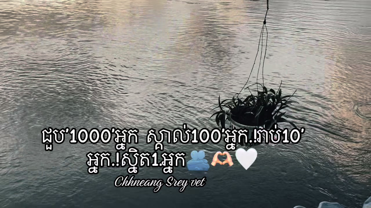 @V_E_T_๐ค