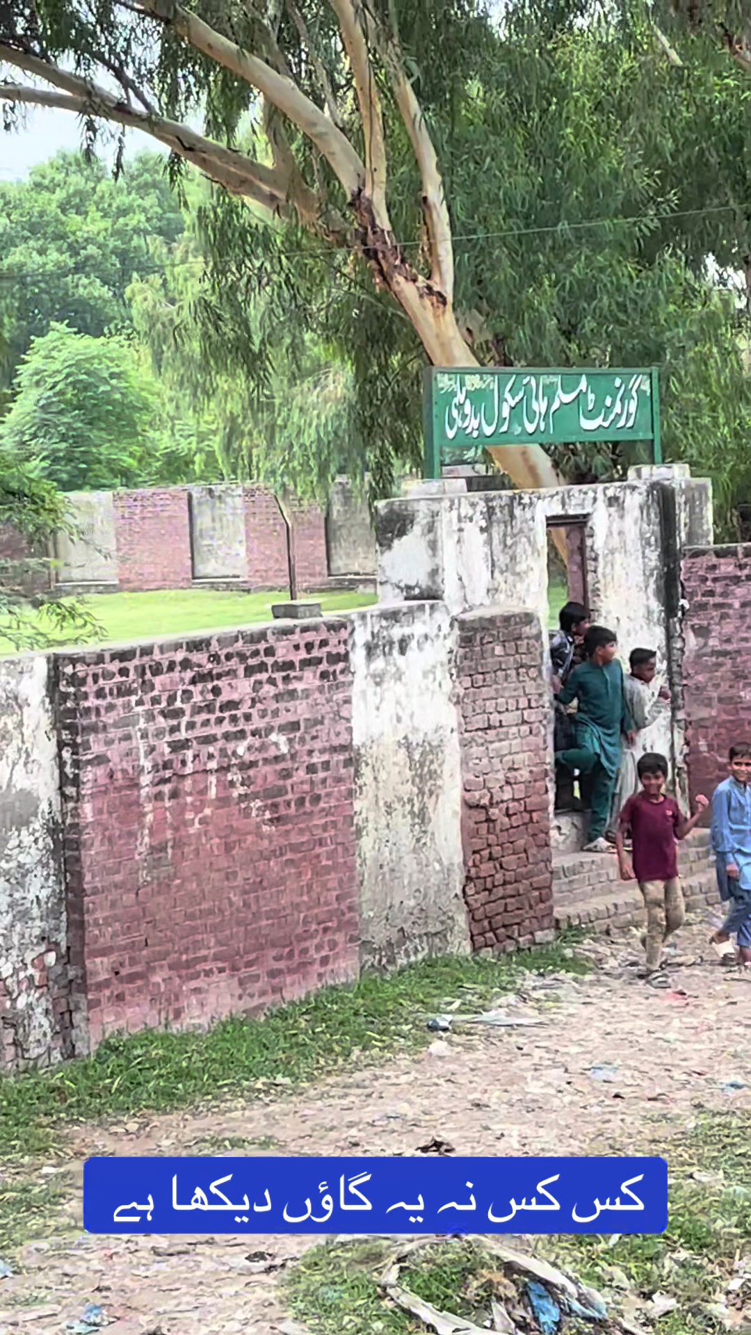 @Rehab Fatima 🇵🇰