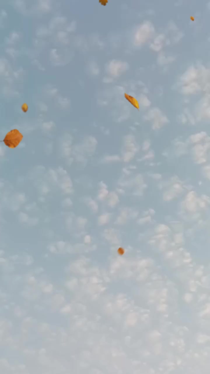 @miansiam295