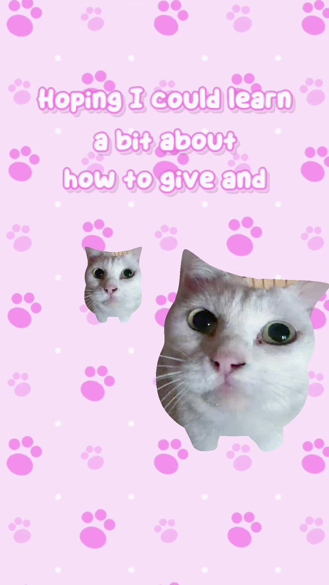 @𝓡𝓮𝓷🍯🐈