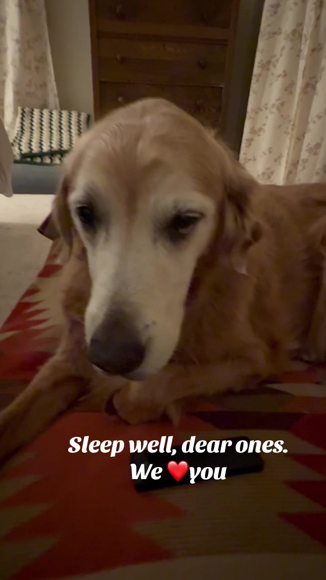 @lifewithduke2025