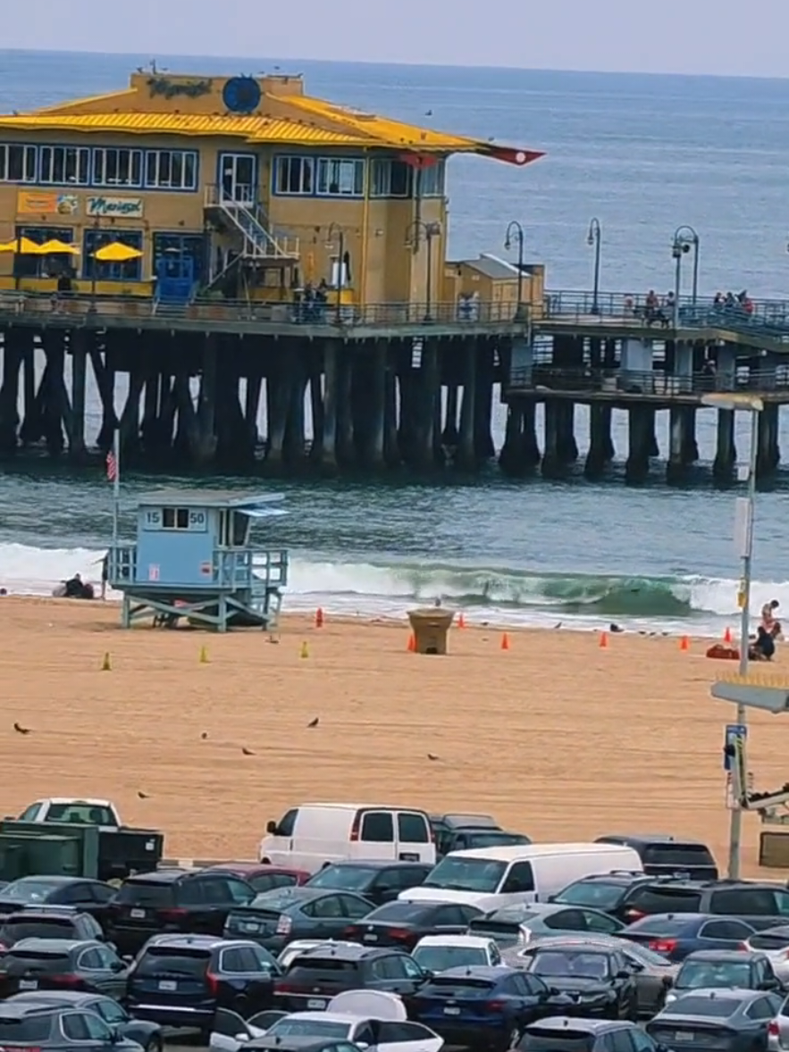 @frankiegoes2hollyw2005