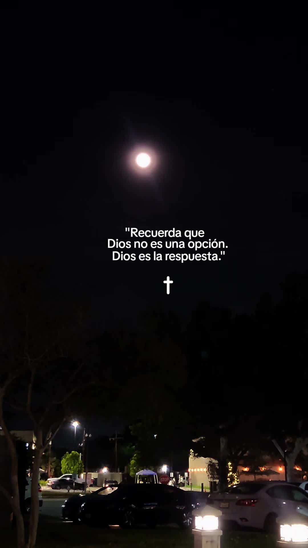@Armando.