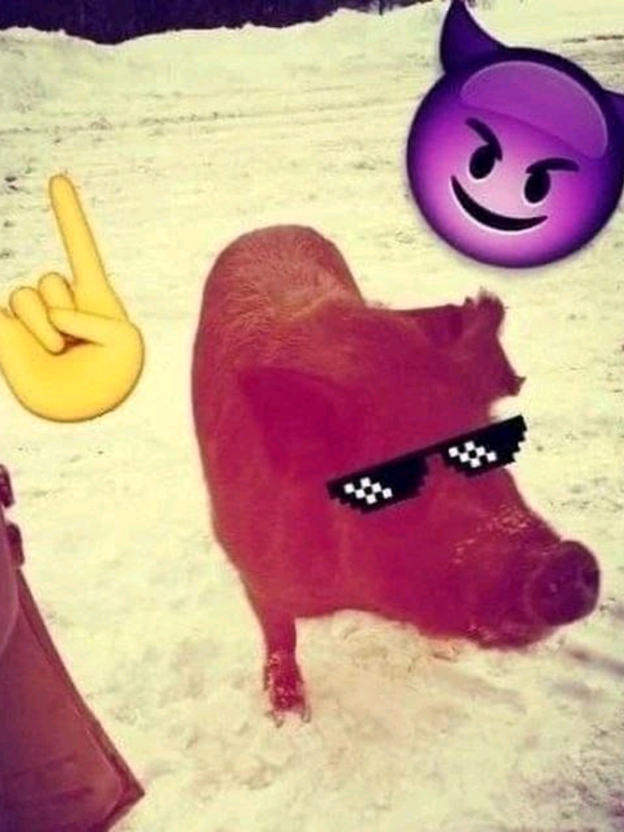 @𝗴𝗮𝗱𝗼𝗽𝘆𝗮𝘁