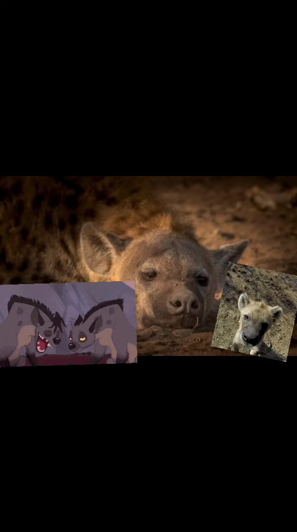@AbrahamTheHyena✝️