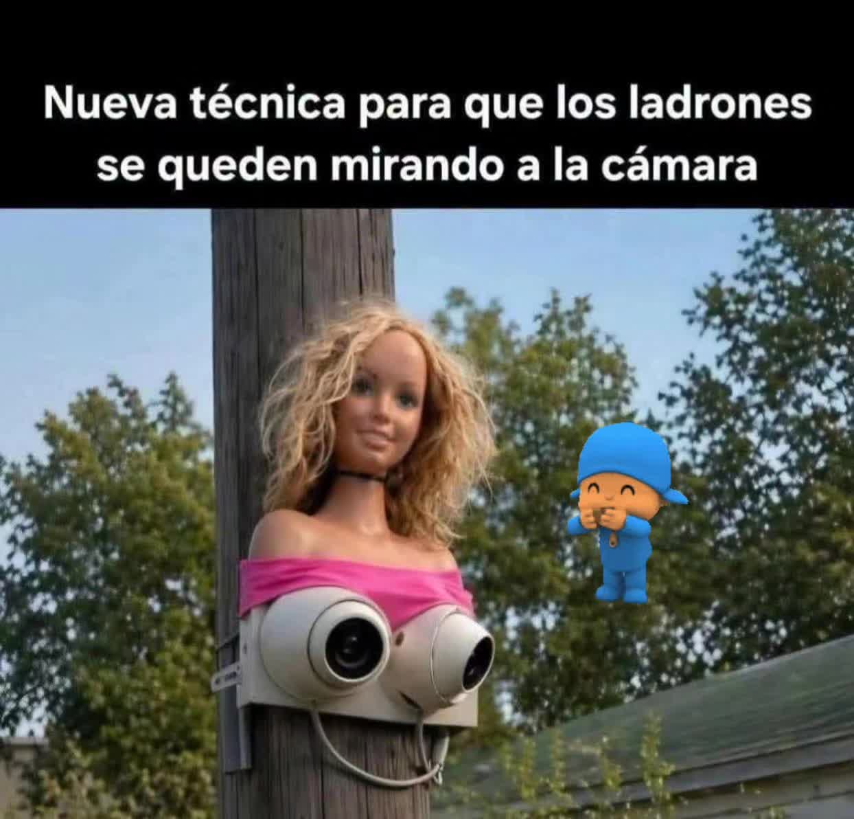 @el panda solitario