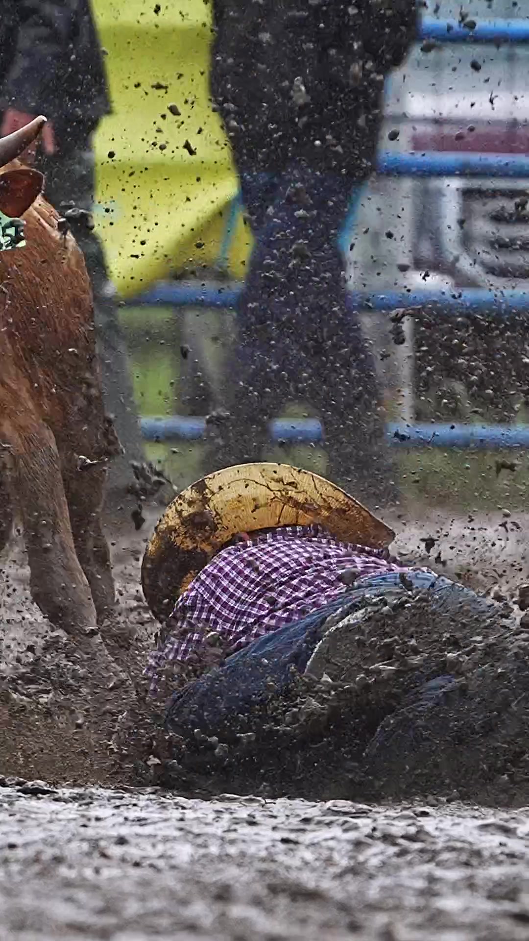 @Hanginghorses
