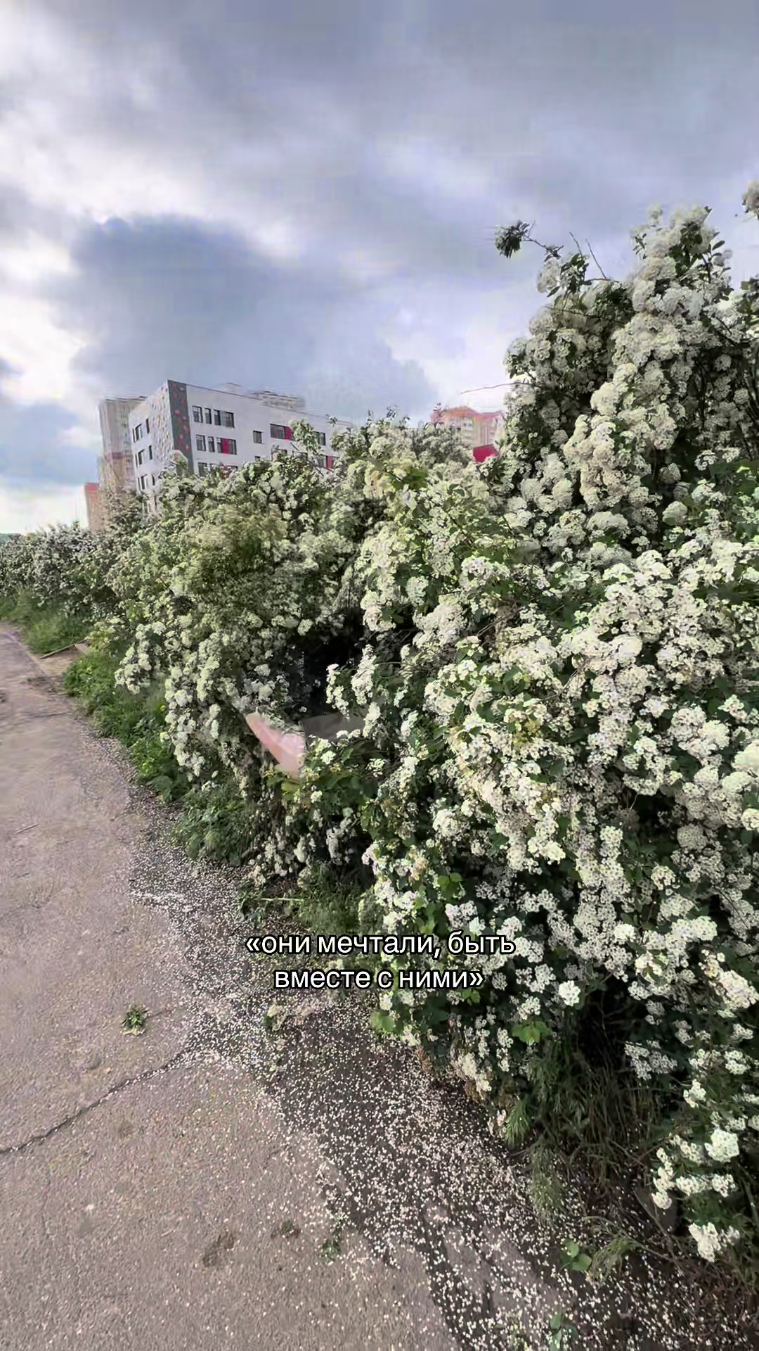 @Элька