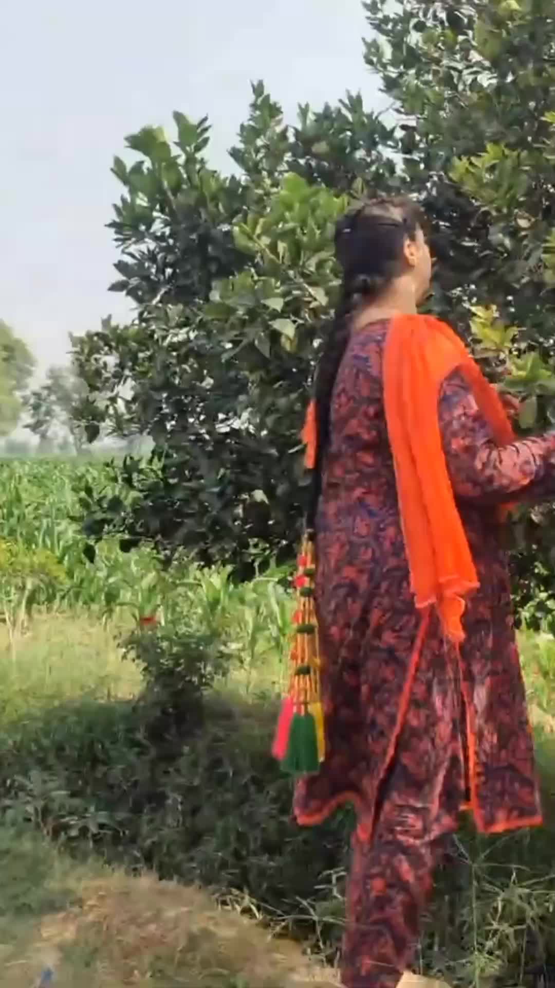 @Aliza Da Punjab