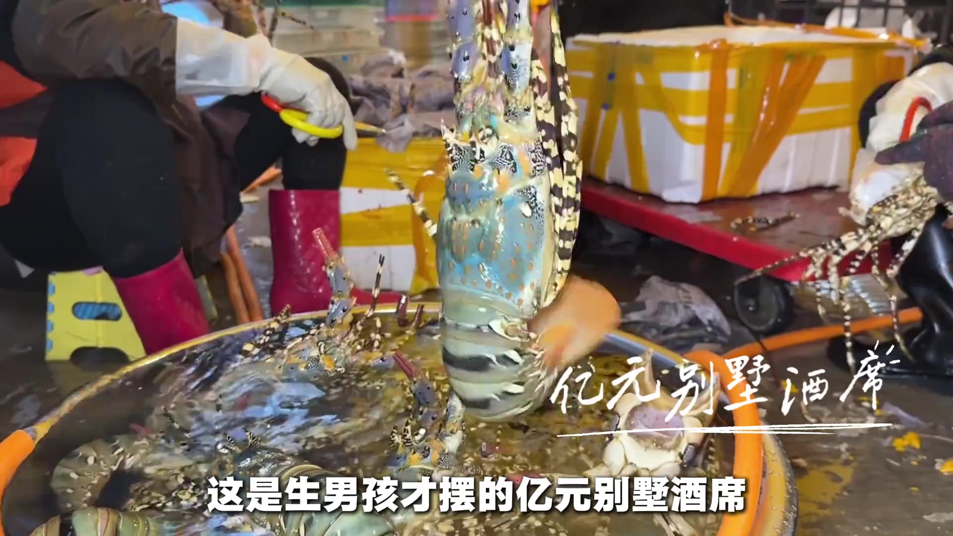 @秦始皇